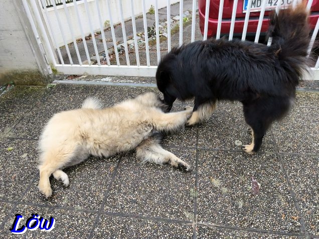 15.12.2025 - Energieabbau